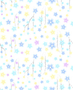 Cherry blossoms