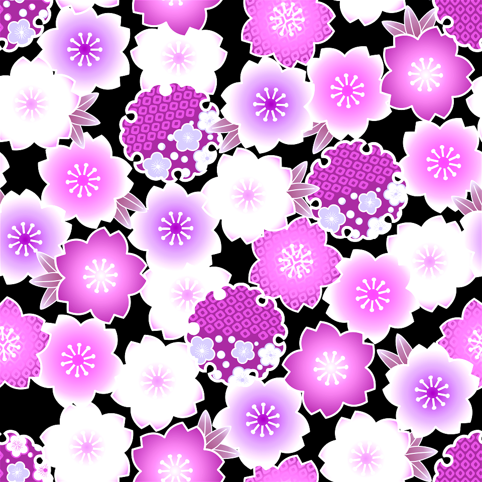 Cherry blossoms