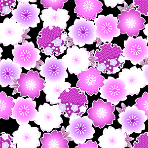 Cherry blossoms