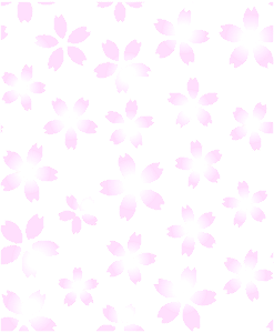 Cherry blossoms