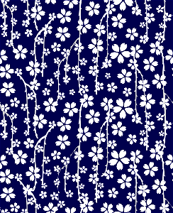 Cherry blossoms