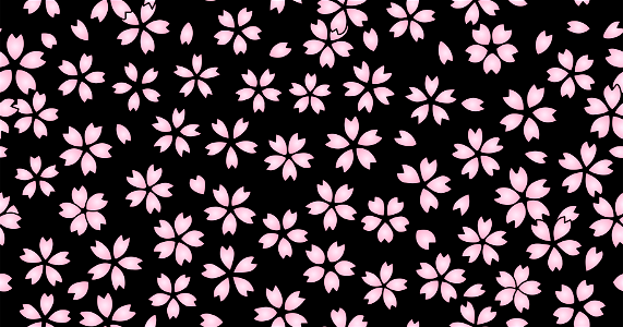 Cherry blossoms