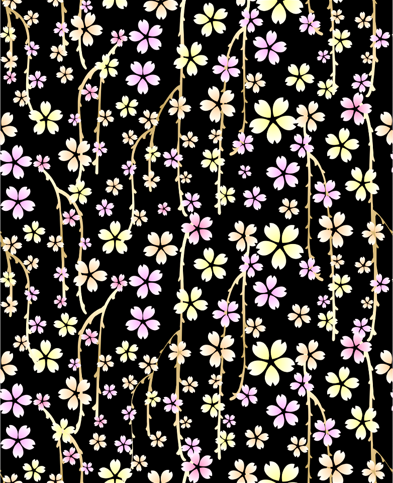 Cherry blossoms
