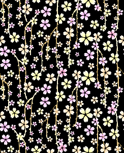 Cherry blossoms