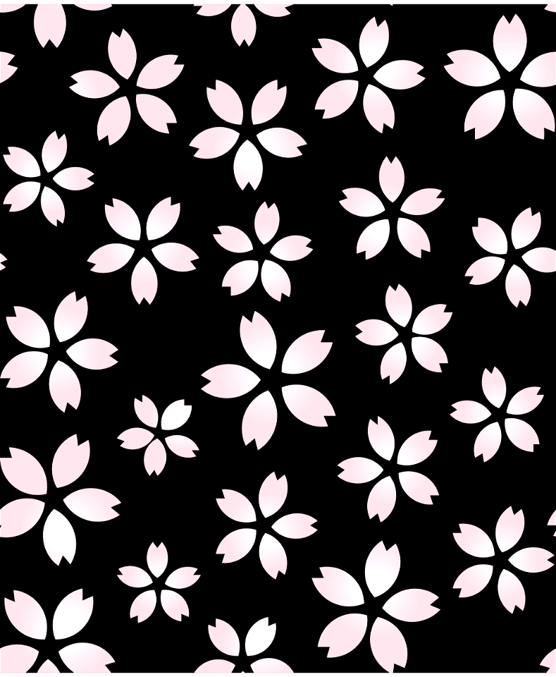 Cherry blossoms
