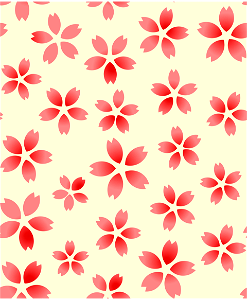 Cherry blossoms