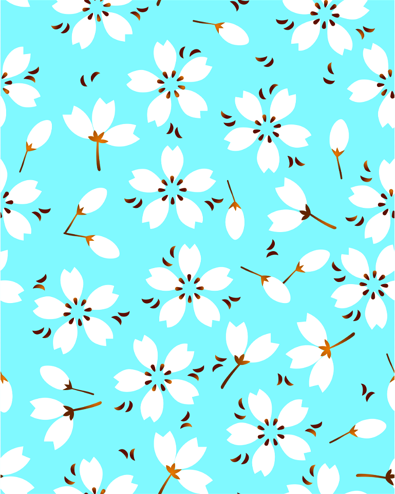 Cherry blossoms