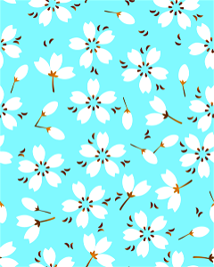 Cherry blossoms
