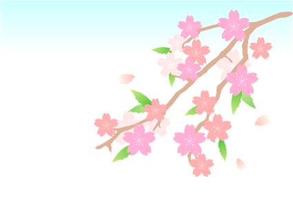Cherry branch
