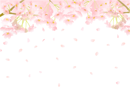 Cherry branches