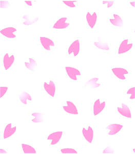 Cherry petals