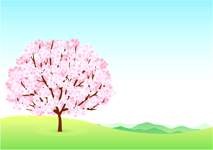 Cherry tree
