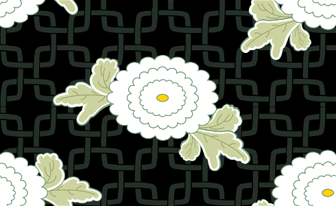 Chrysanthemum background
