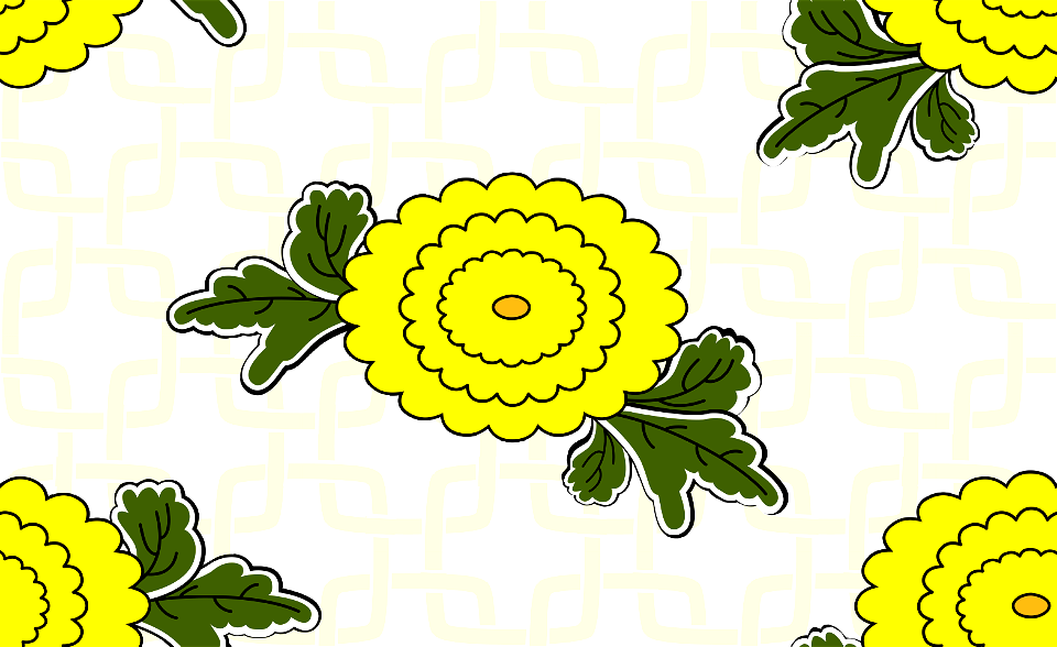 Chrysanthemum background