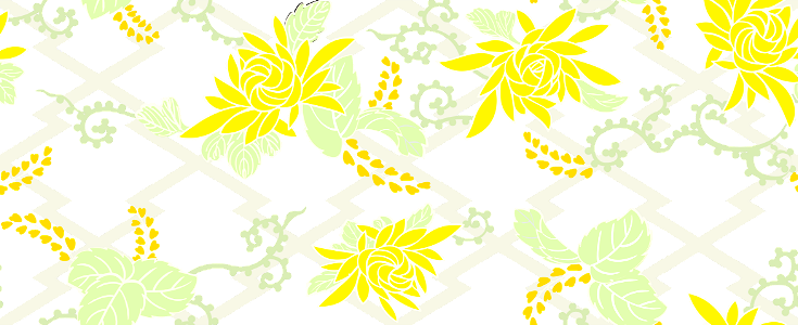 Chrysanthemum japanese wisteria background