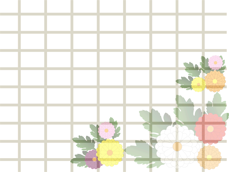 Chrysanthemum shoji