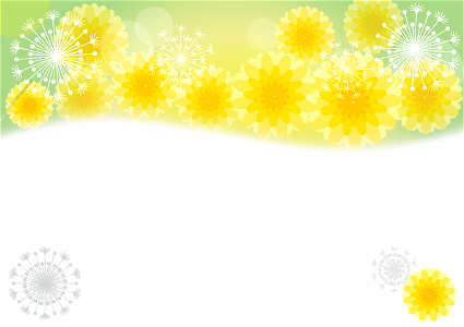 Dandelion background