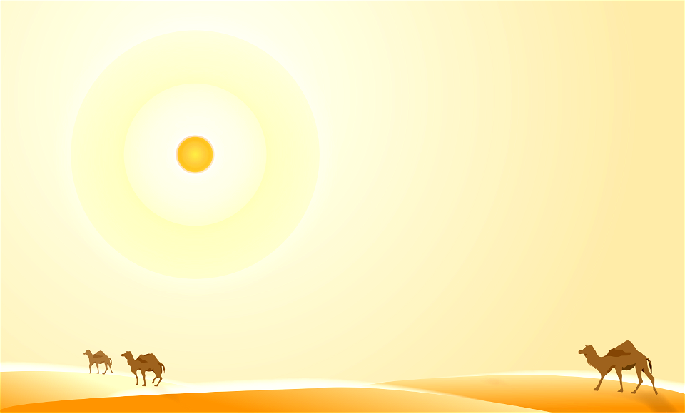 Desert camel background
