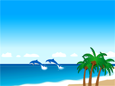 Dolphins sea beach