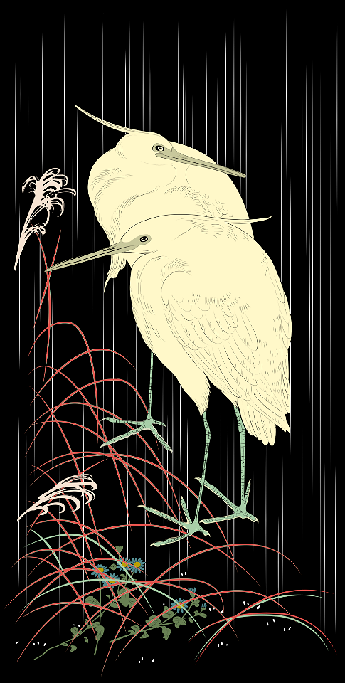 Egret bird