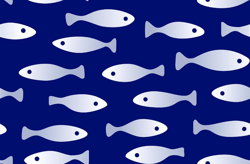 Fish background