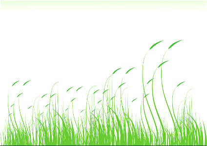 Grass background