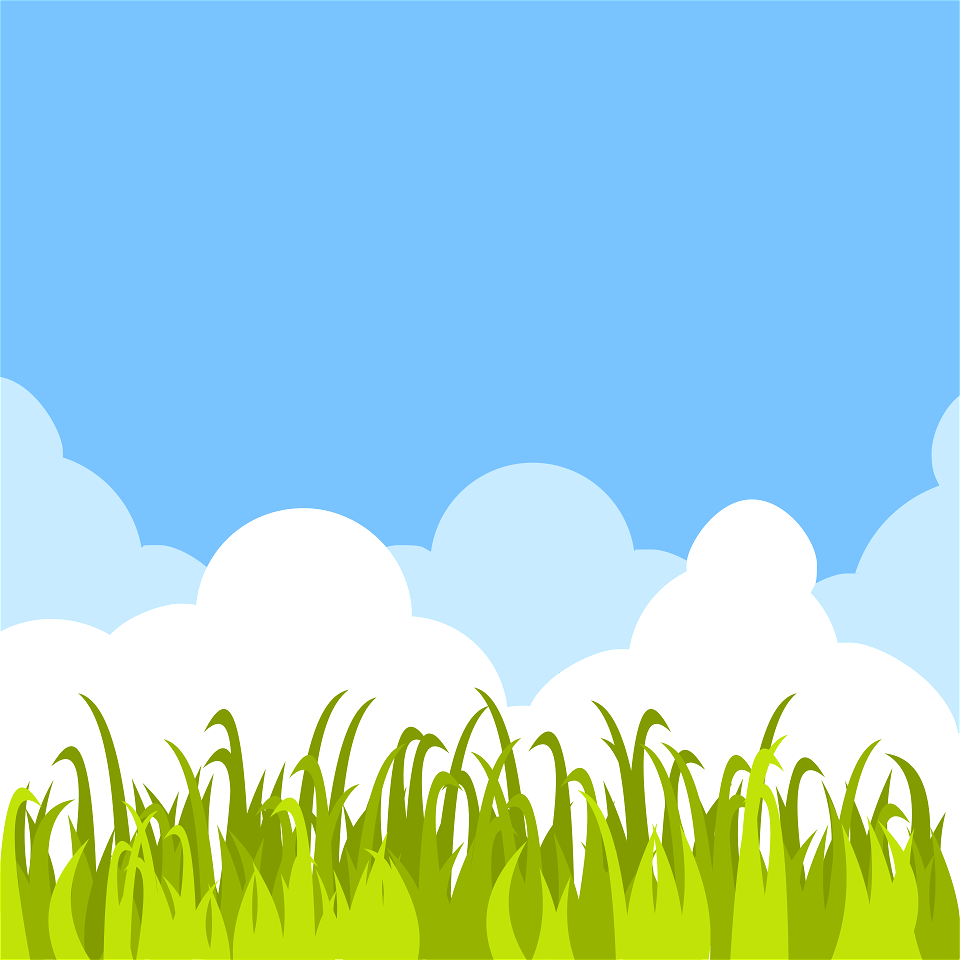 Grass blue sky