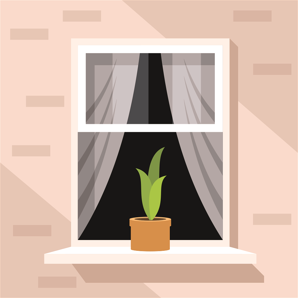 House window
