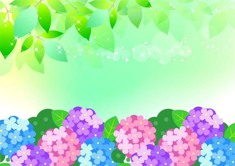 Hydrangea green leaves