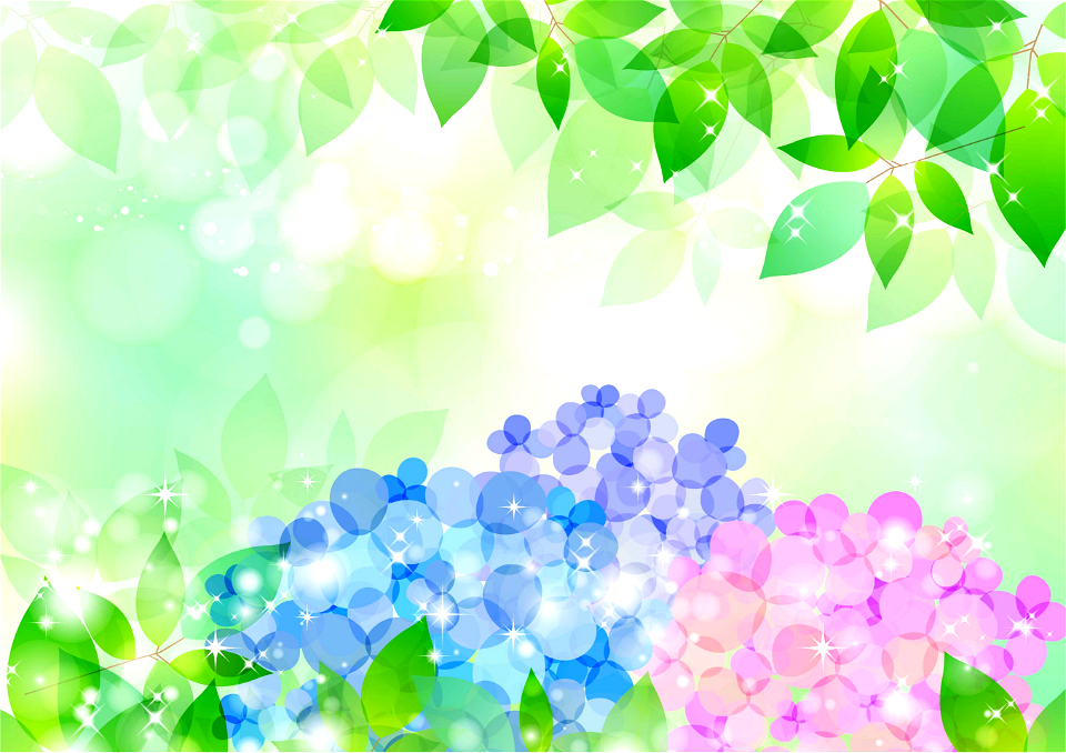 Hydrangea green leaves