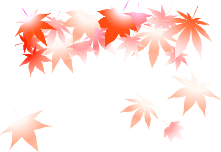Maple autumn leaves background