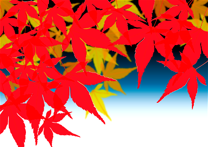 Maple autumn leaves background