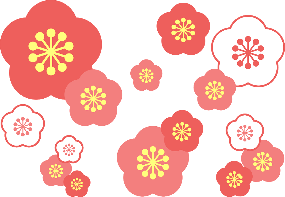 Plum blossom