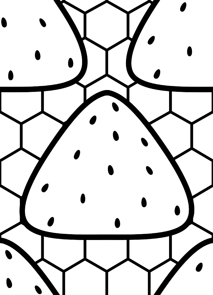 Rice ball background