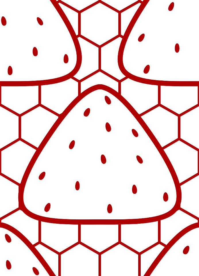 Rice ball background