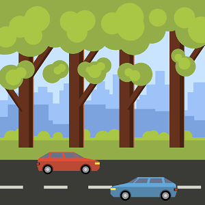Road