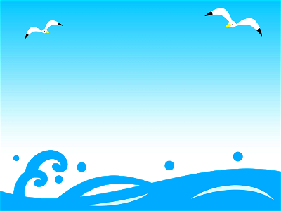 Sea and seagulls