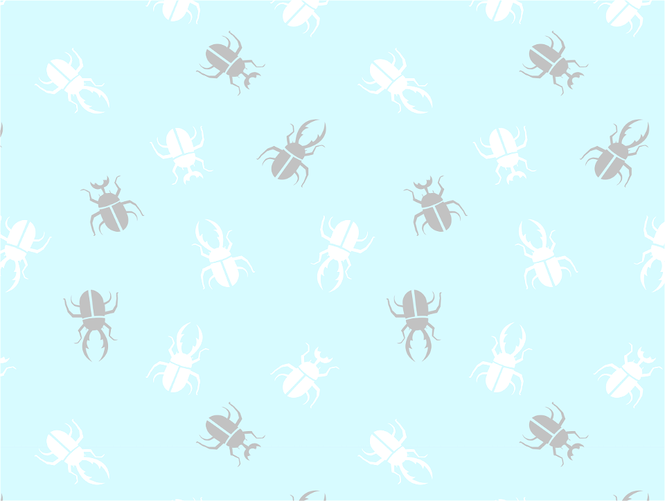 Stag beetle