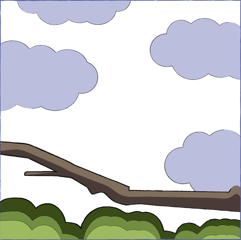 Branch