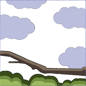 Branch