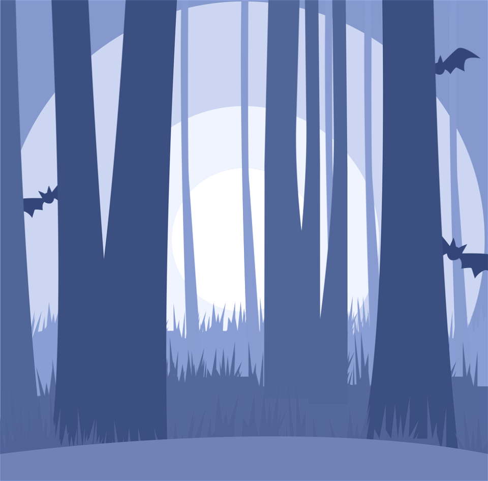 Enchanted Forest