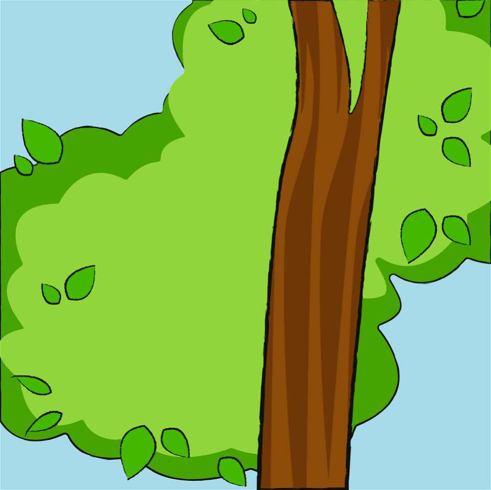 Eucalyptus