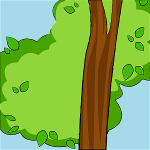 Eucalyptus