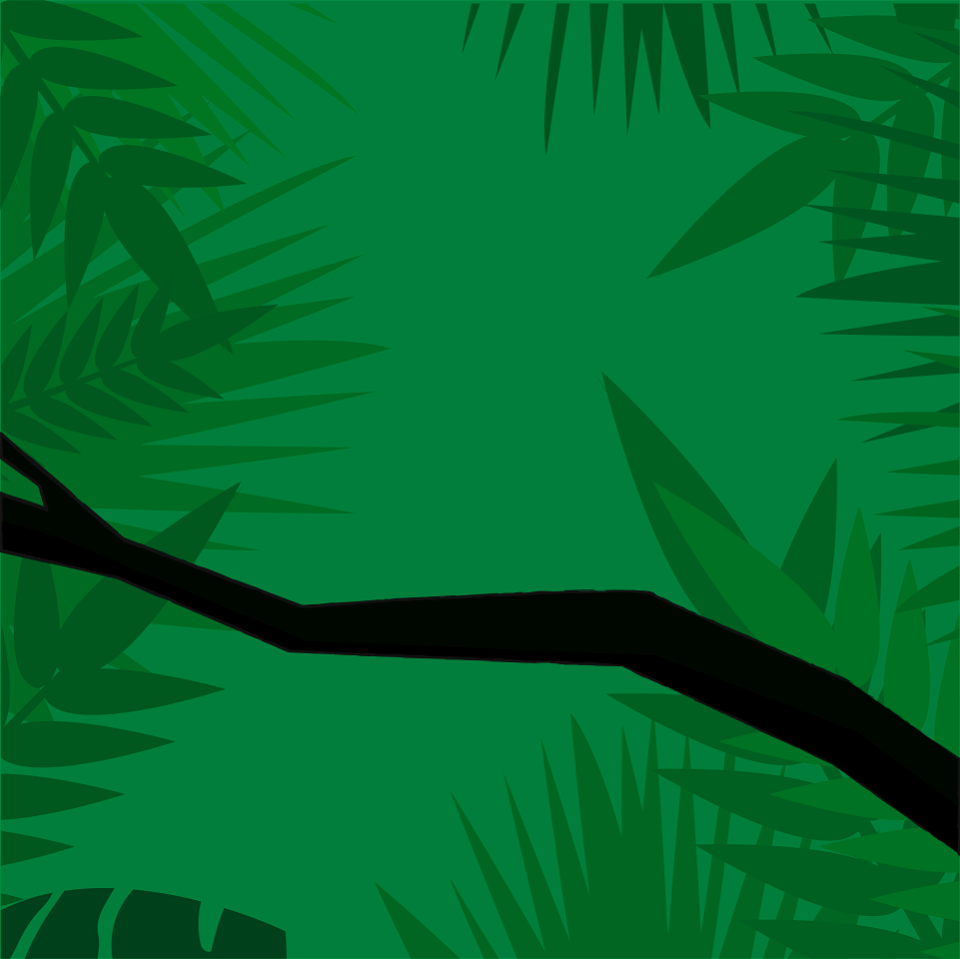 Jungle