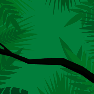 Jungle