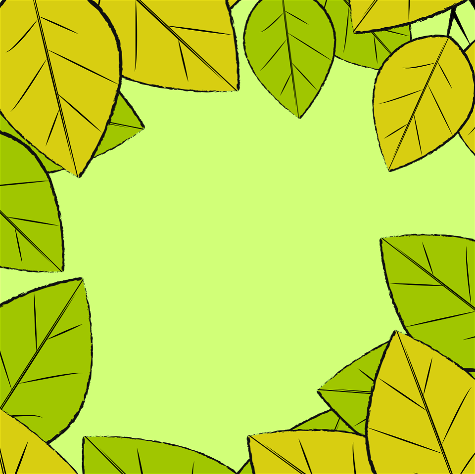 Leaves