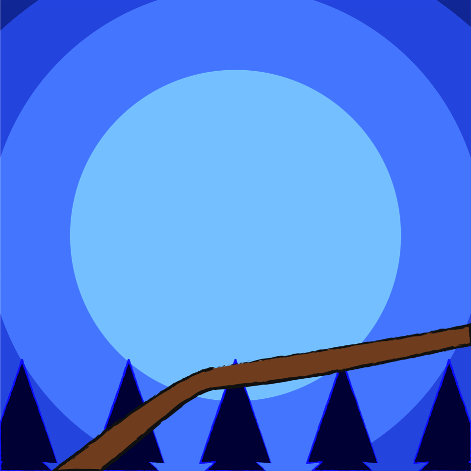 Night Forest
