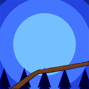 Night Forest