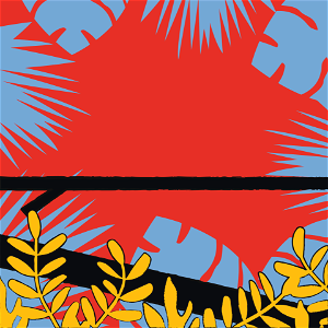 Tropics