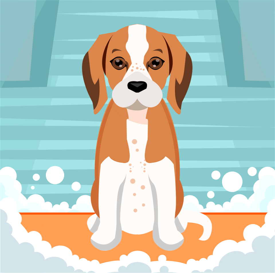 Beagle